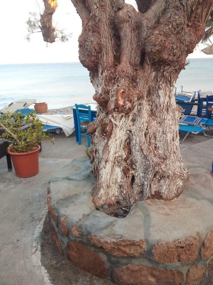 Beachfront Apartment Kato Zekros Exterior photo